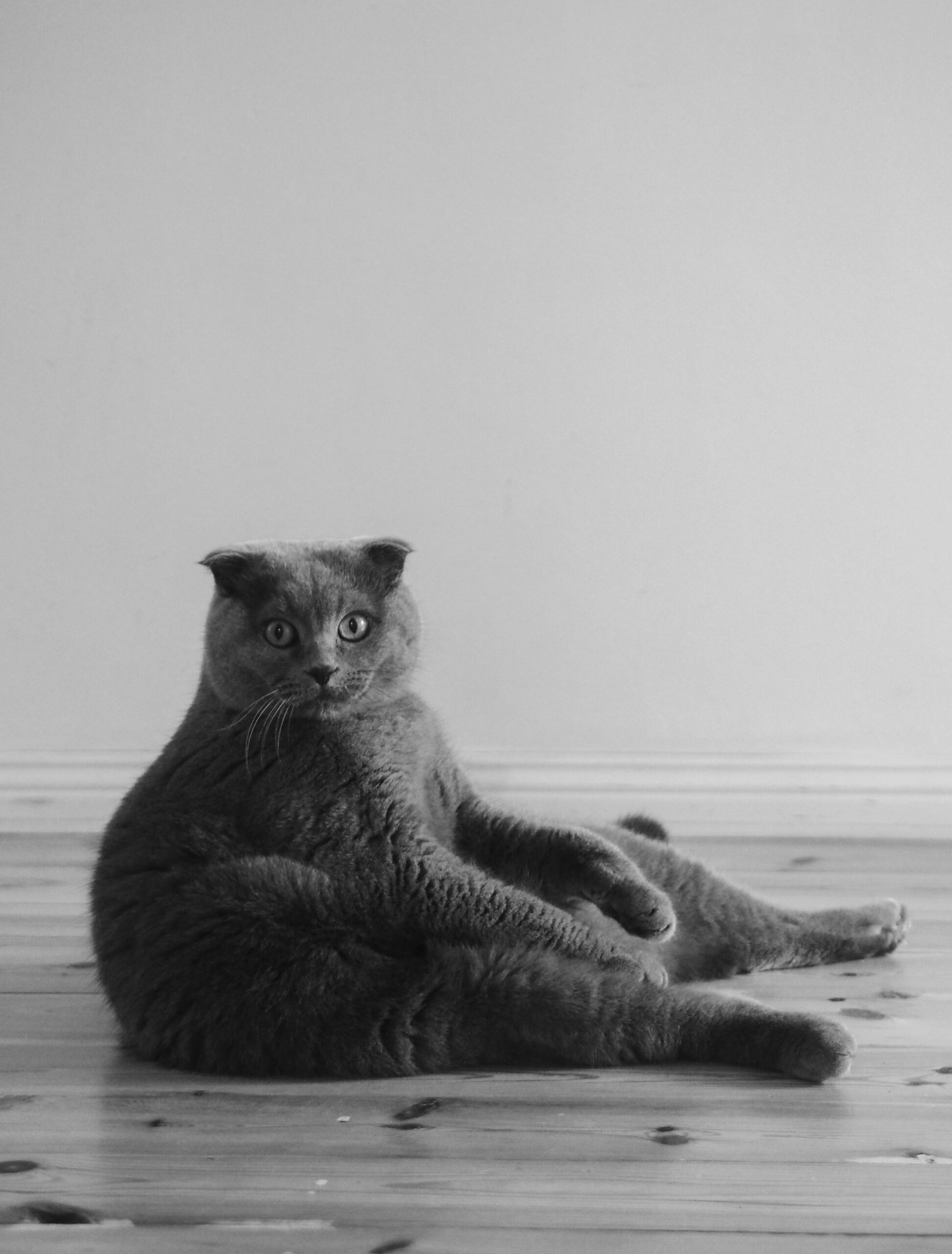 Ka me li RsJvb6OixoA unsplash